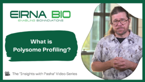 What is Polysome Profiling