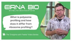 What is polysome profiling and how does it differ from ribosome profiling?